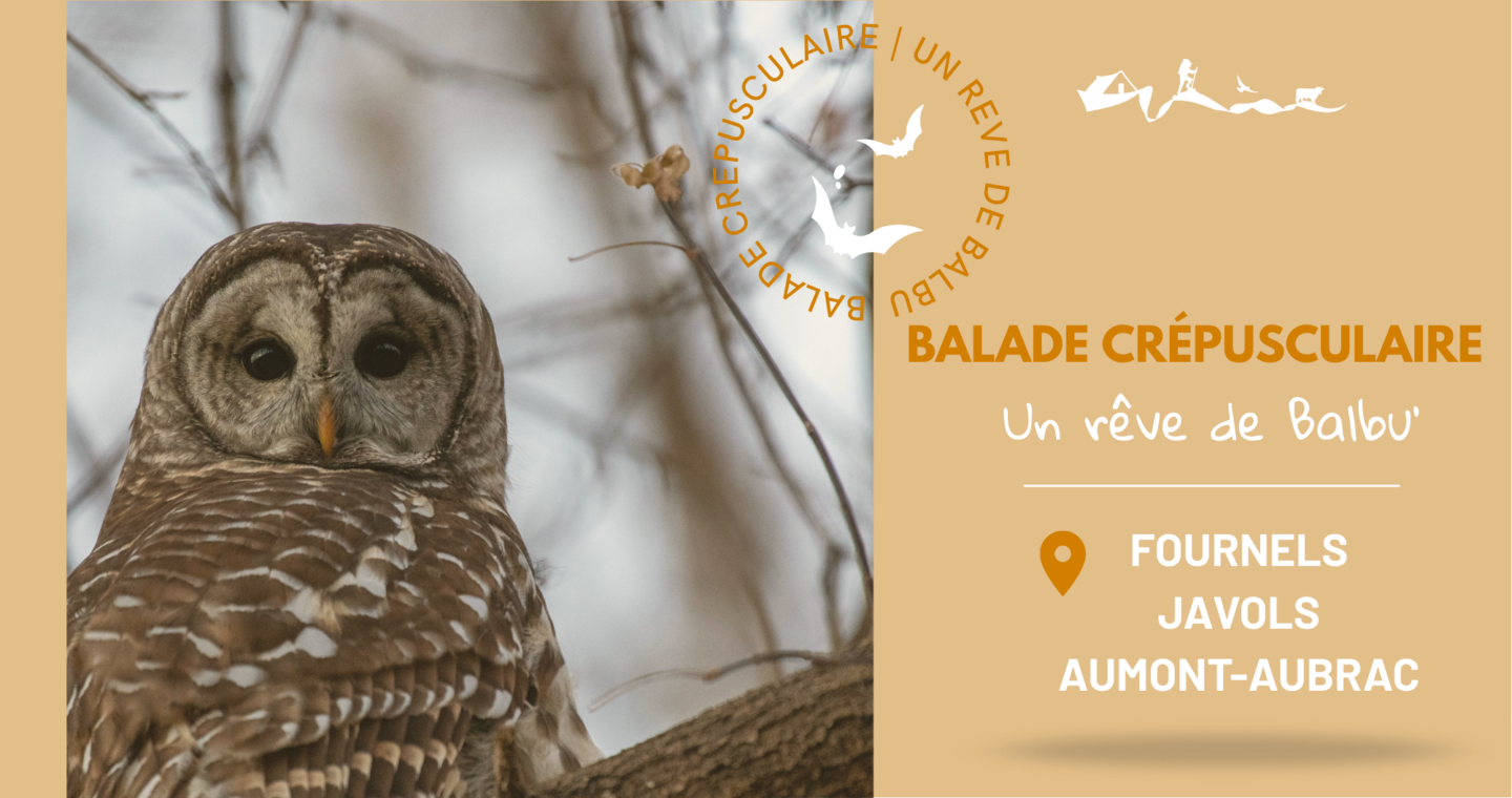 BALADES CREPUSCULAIRES FOURNELS