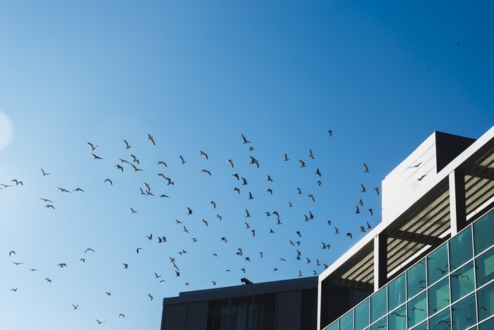 Bâtir en préservant la nature