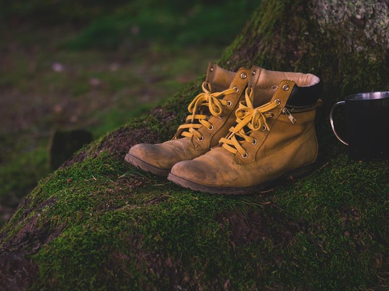 Berstett Rando Château de Wasenbourg