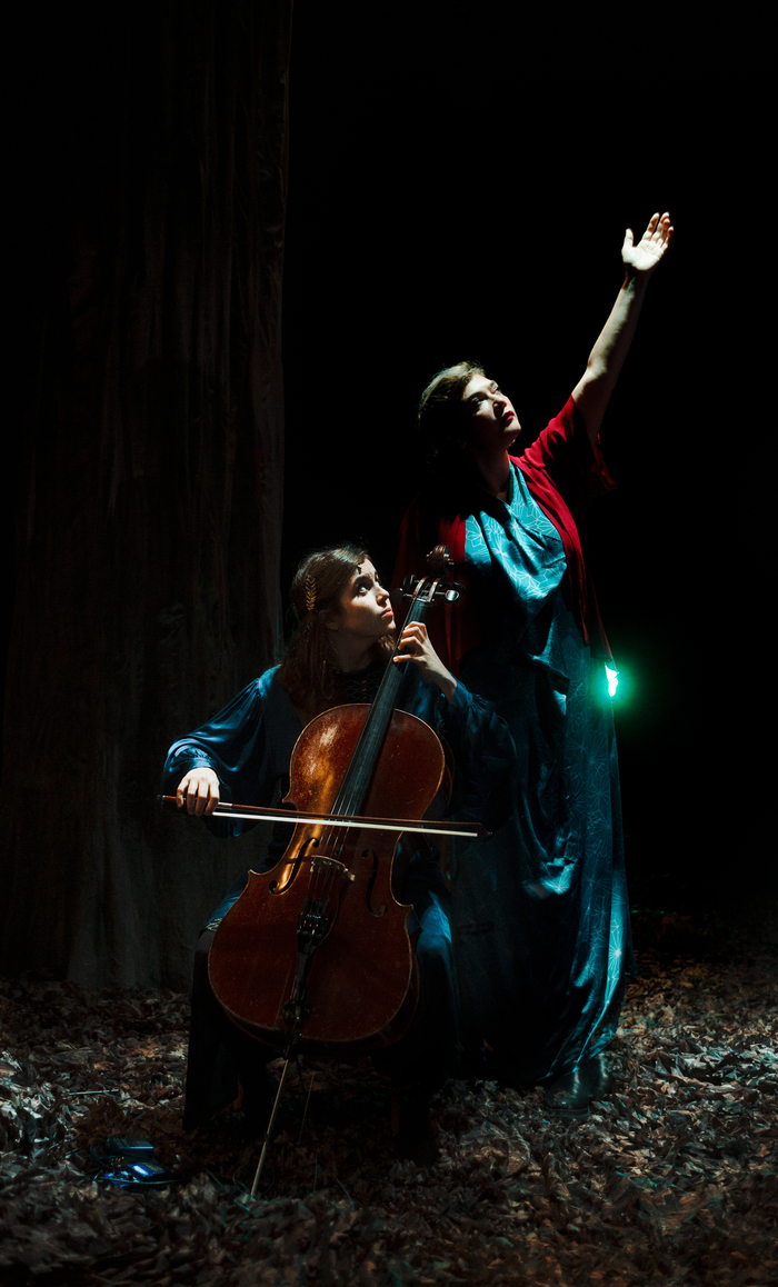 BIRDS ON A WIRE Théâtre Coluche Plaisir