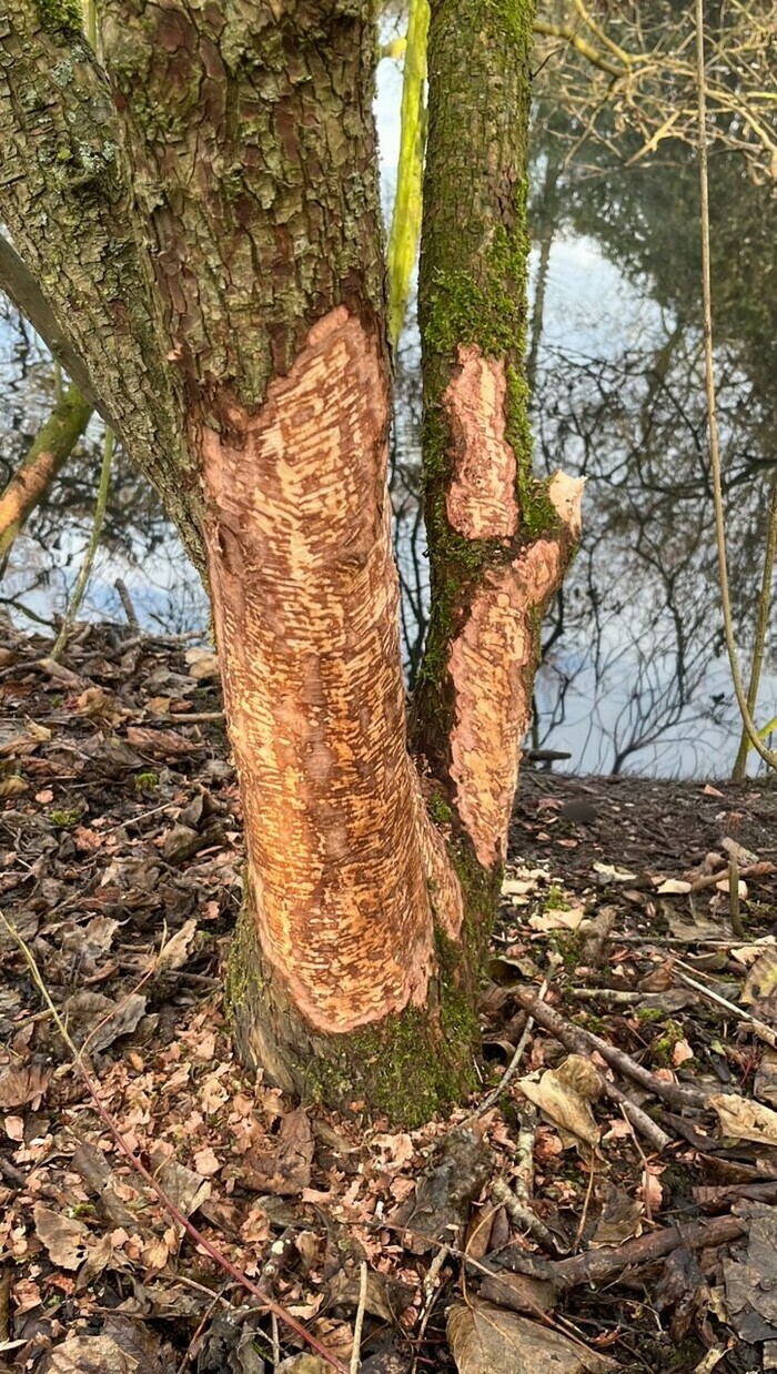 Branche-toi Les Prés du Hem Armentières
