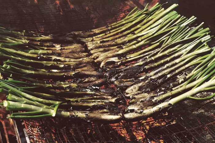 Can Canyadó Badalona