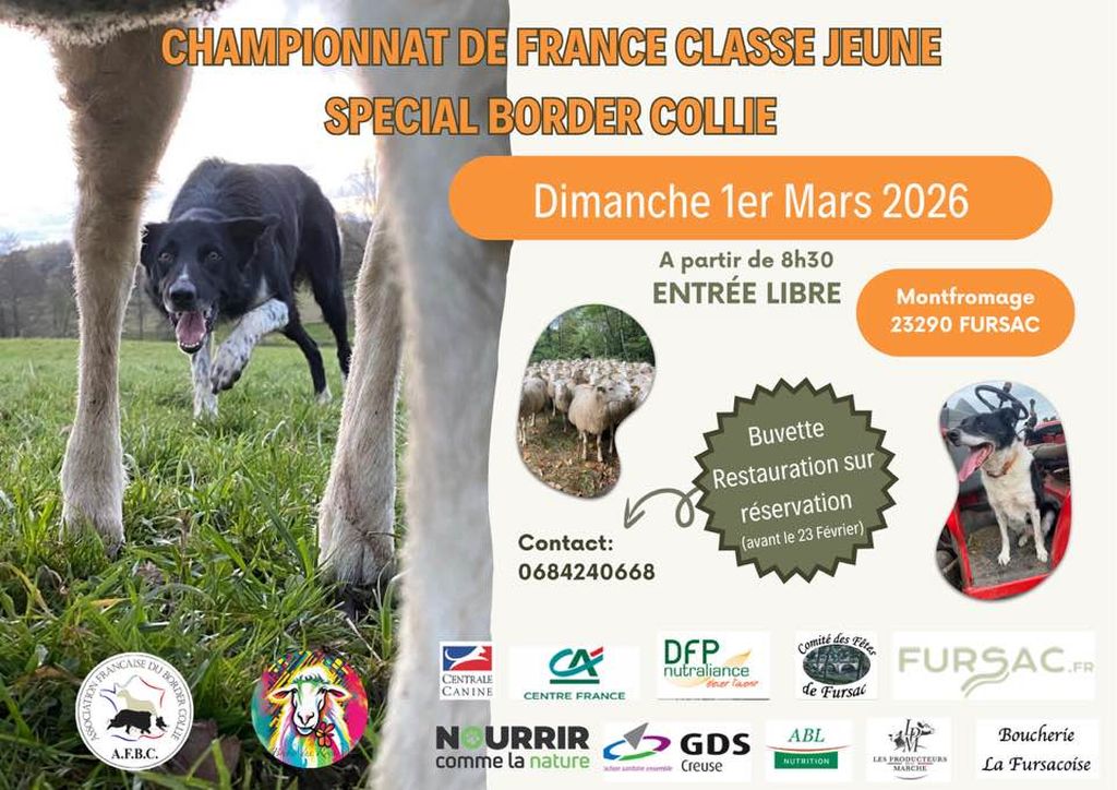 Championnat de France Spécial Border Collie