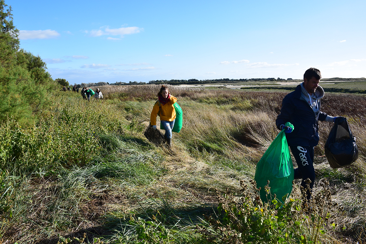 Chantier de nettoyage havre de Surville