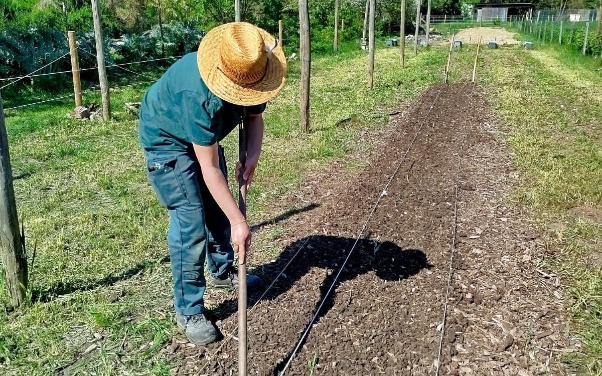 Chantier maraicher Ferme de Paris  Paris