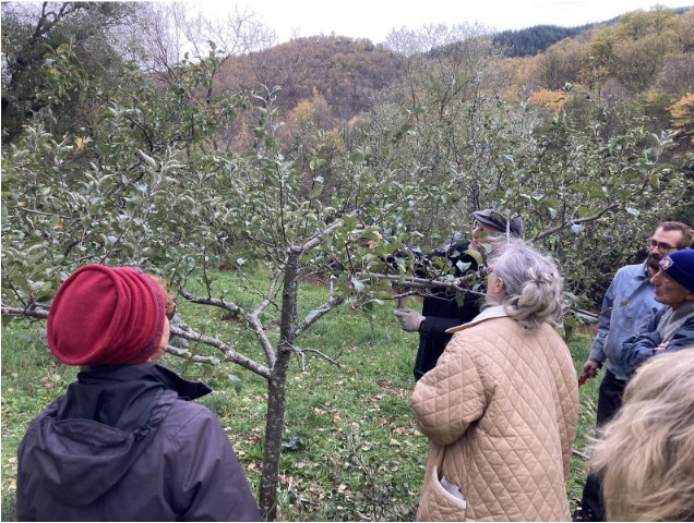 CHANTIER PARTICIPATIF A CASTANET