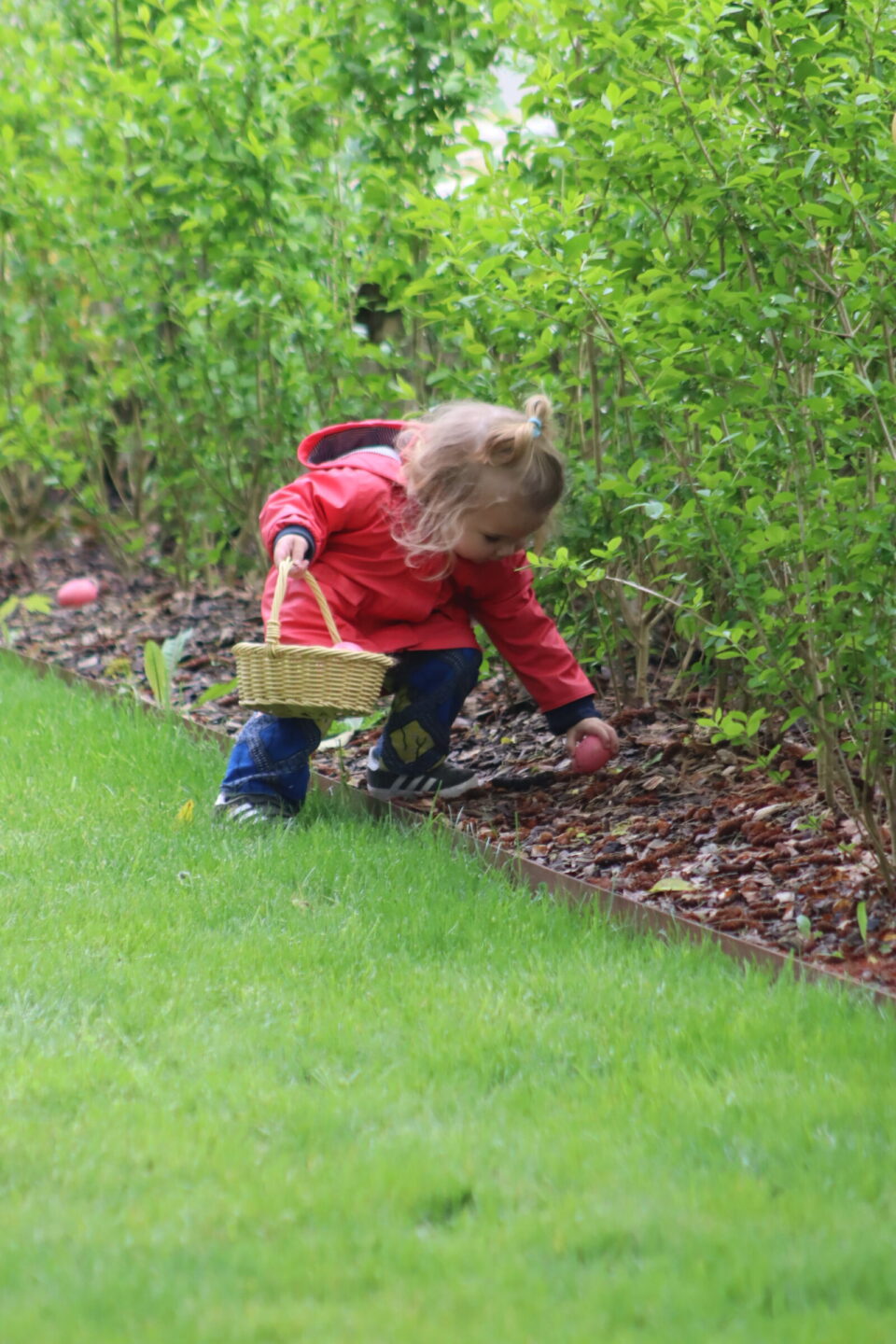 Chasse aux oeufs de Pâques