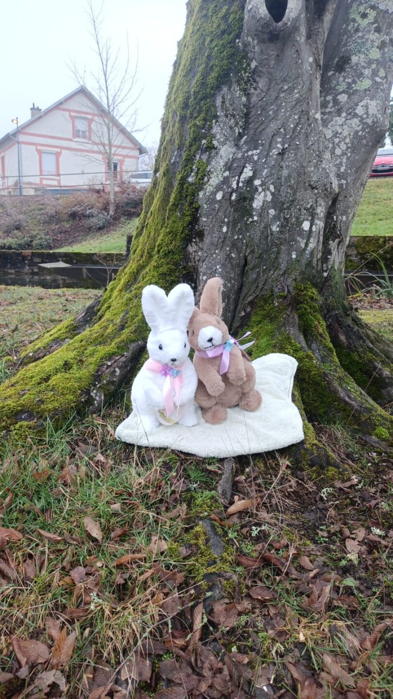 Chasse aux oeufs du Club Gymnique 87