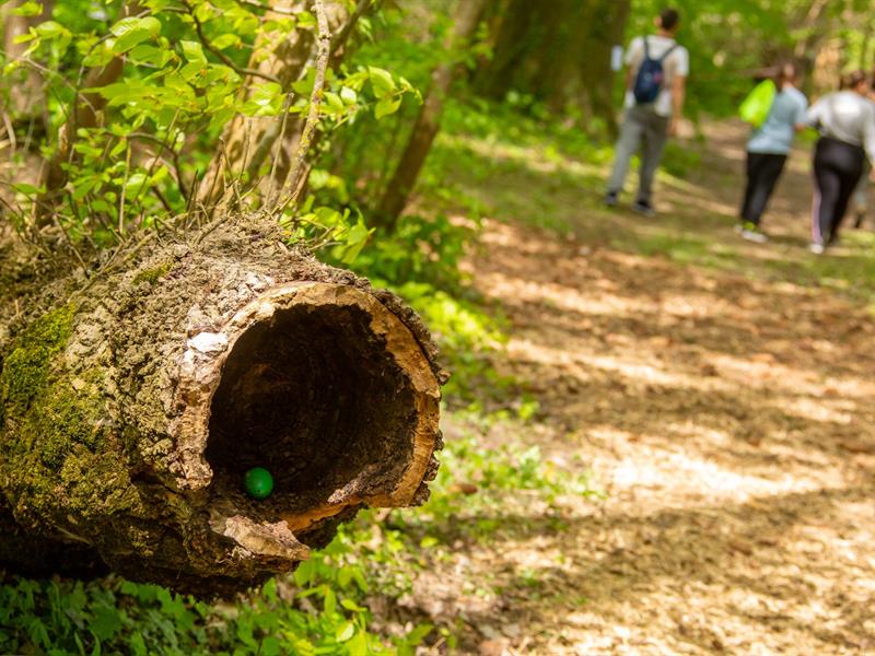 Chasse aux oeufs route de Luxembourg Manom 2026-04-06 Chasse aux oeufs