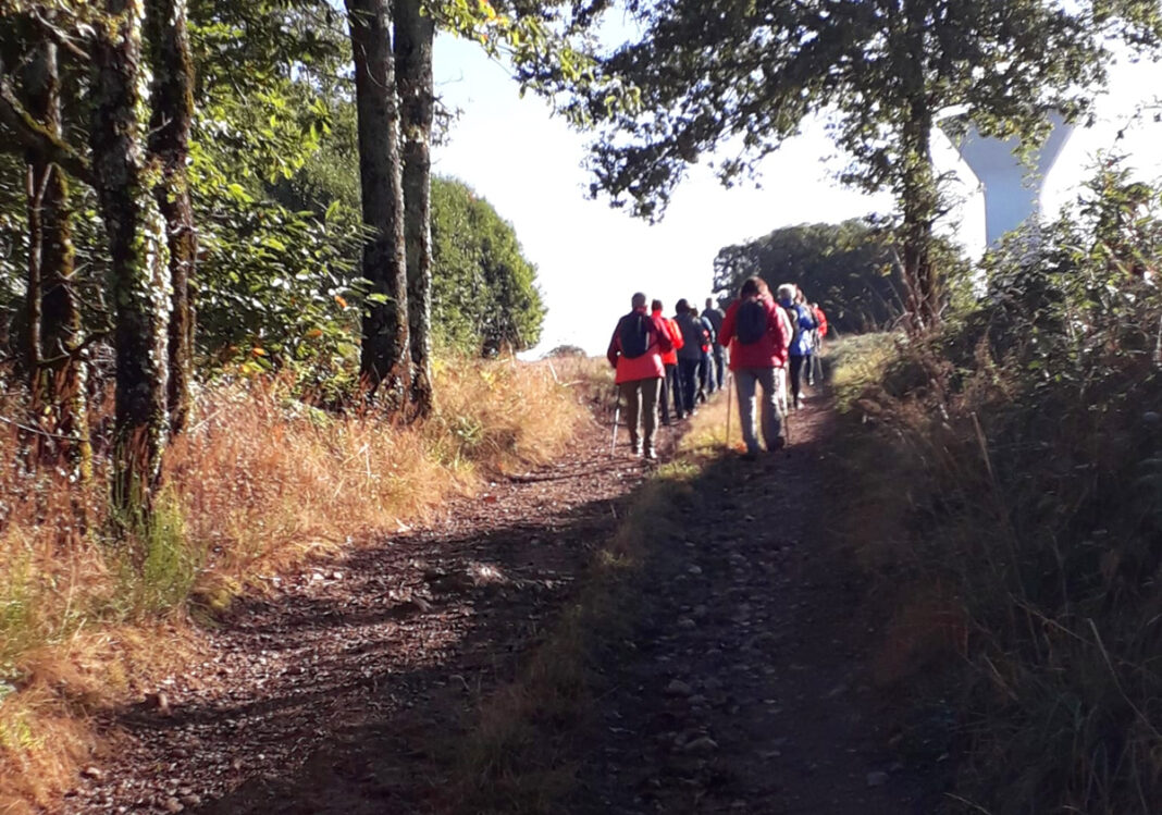 Chemins en Fête rando pédestre  Vareilles