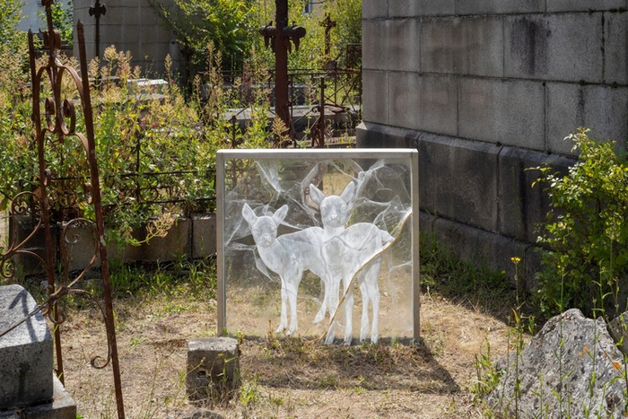 Cimetière Miséricorde - Visite guidée Cimetière Miséricorde Nantes