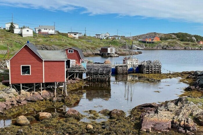Ciné Conférence Altaïr : "Terre Neuve