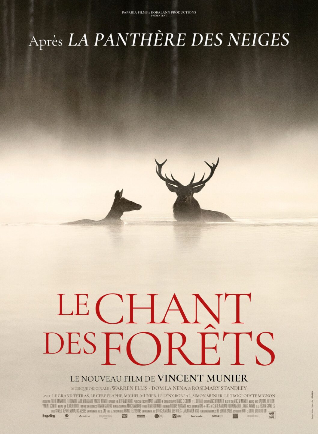 Cinéma chez Nous documentaire Le chant des forêts