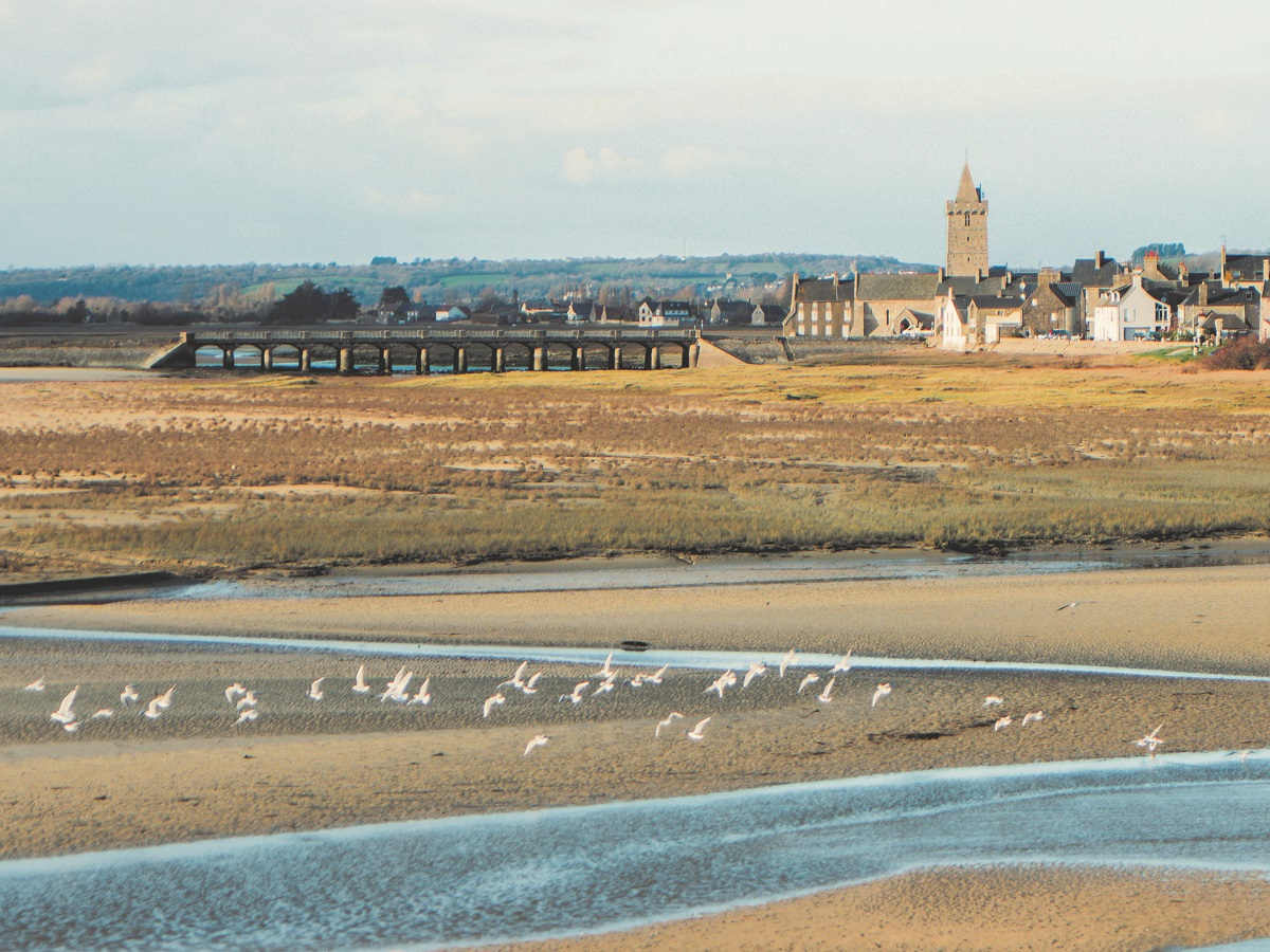 Collecte de déchets Plage de Porbail