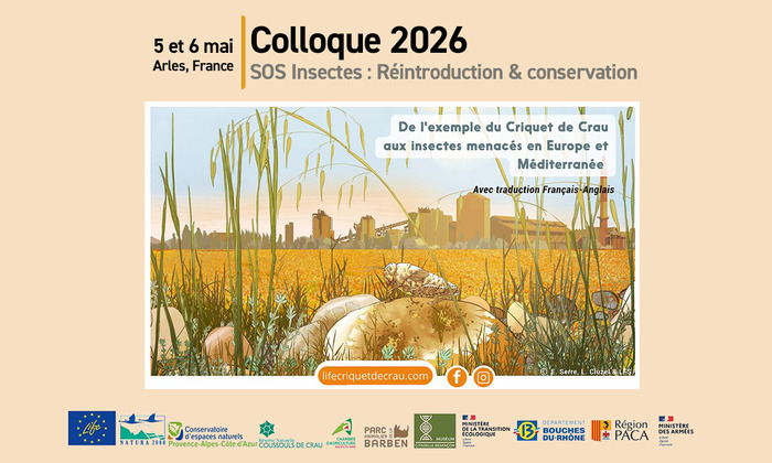 Colloque LIFE SOS Criquet de Crau : les inscriptions sont ouvertes ! Maison de la vie associative