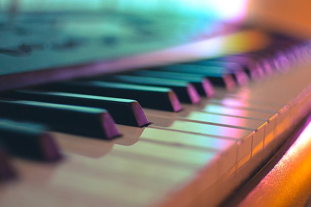 CONCERT BORÉALES BALEINES