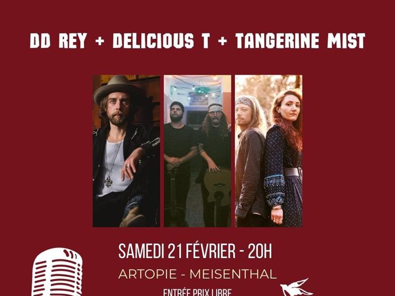 Concert DD Rey + Delicious T + Tangerine Mist