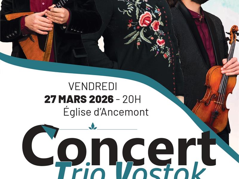 Concert Trio Vostok