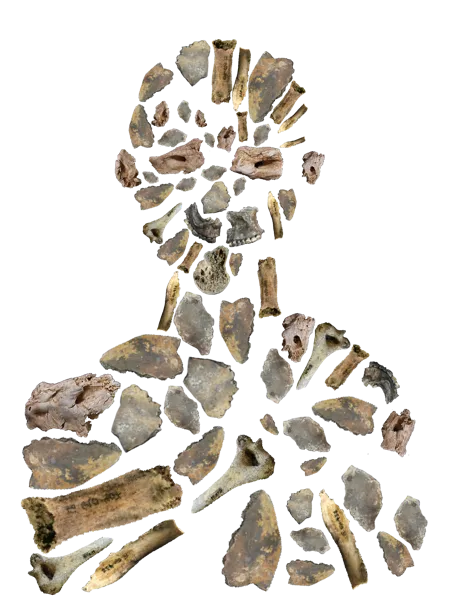 Conférence au musée Fenaille Des os aux individus comment le projet Link redonne une identité aux défunts des dolmens de l'Aveyron