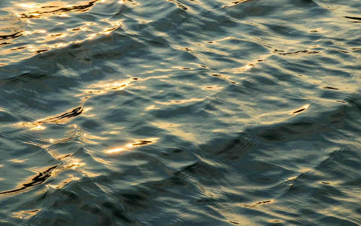 Conférence dansée : 2ème édition autour des 4 éléments Conservatoire Municipal Darius Milhaud  PARIS