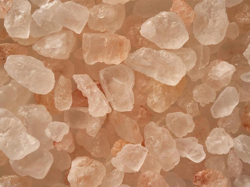 Conférence Les chemins secrets de la contrebande