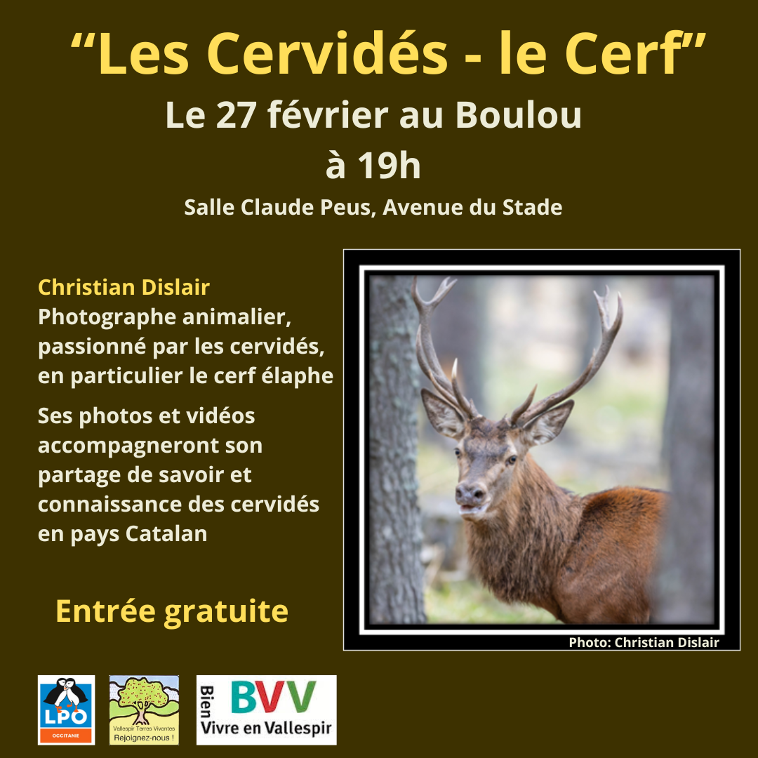 CONFÉRENCE SUR LES CERVIDÉS