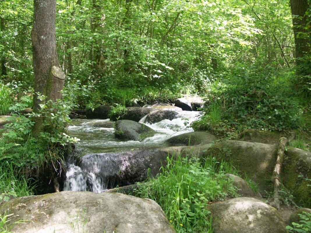 Contes au bruit des cascades Maisoncelles-la-Jourdan Vire Normandie
