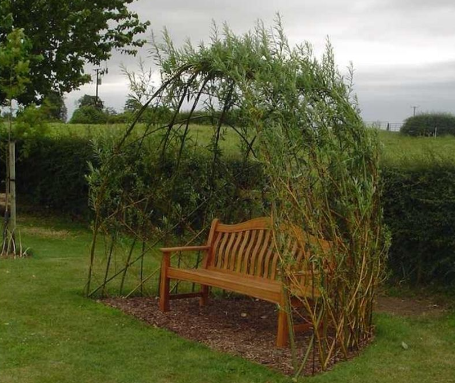 CRÉATION D'UNE CABANE EN OSIER VIVANT