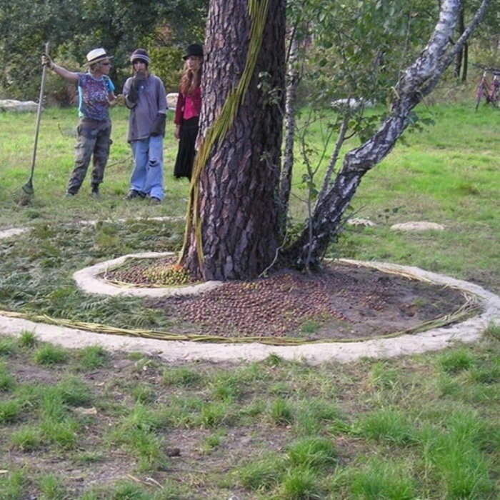 Création d’une œuvre participative de Land art Parc de Camponac Pessac