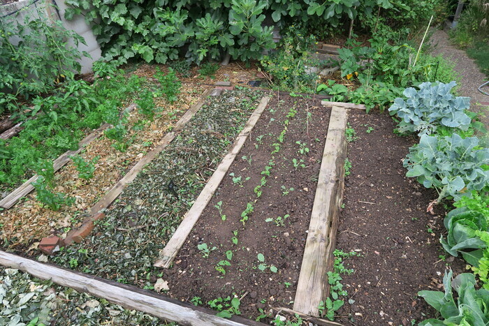 Créer un potager en 3 heures Métropole Rouen Normandie Rouen