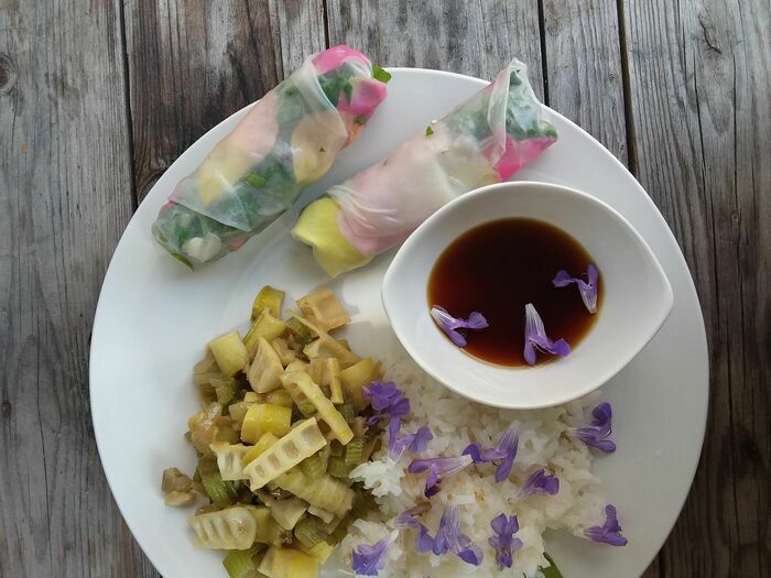 Cueillette et cuisine sauvage 37460 Céré-la-Ronde