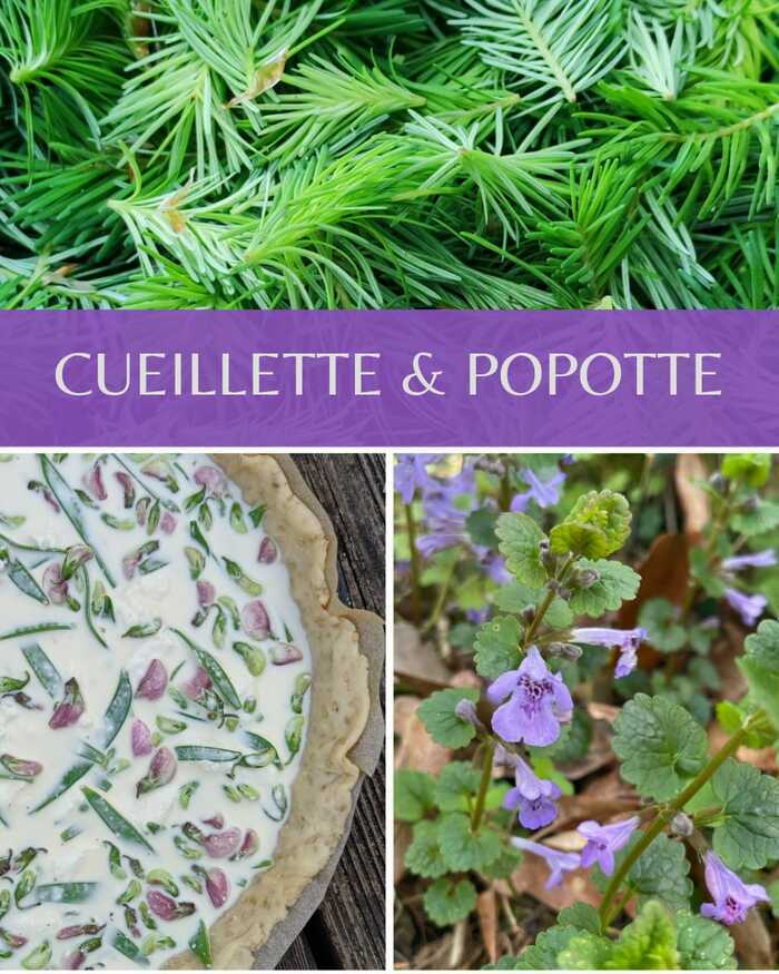 Cueillette et Popote Civray-de-Touraine Civray-de-Touraine