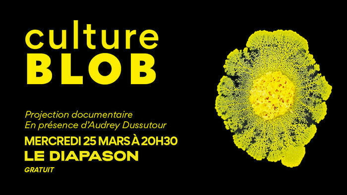 Culture BLOB: Projection documentaire Le Diapason - Université de Rennes Rennes