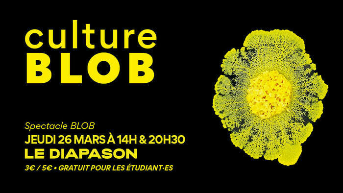 Culture BLOB: Spectacle Le Diapason - Université de Rennes Rennes