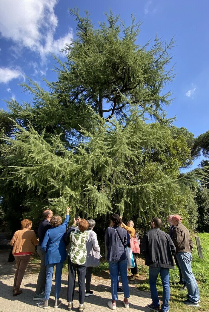 Cycle de 3 balades pour découvrir la nature de Bellevue à Sainte-Anne #3 Quartier Bellevue Nantes