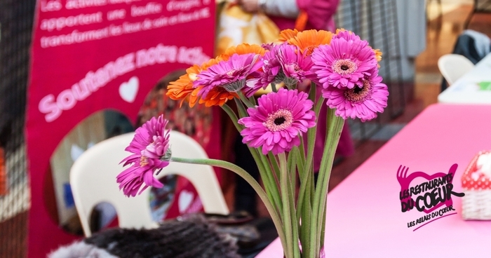 Danses plurielles Carré des Jalles