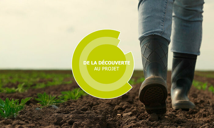 De la découverte au projet - Maraîchage - Orvault (44) ÉFEA