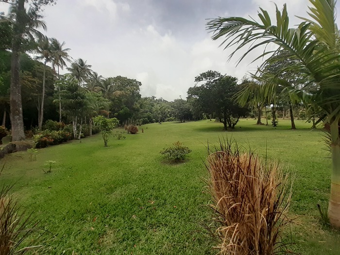 Découverte de l'habitation Petit-Parc L'habitation Petit-Parc Saint-Claude