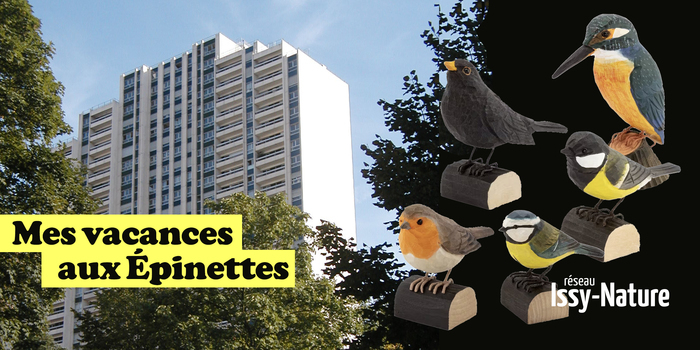 Découverte de l'ornithologie Maison des Épinettes Issy-les-Moulineaux