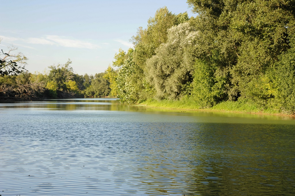 Découverte des secrets de l'Adour Sur les trames vertes et bleues entre Préchacq et Pontonx