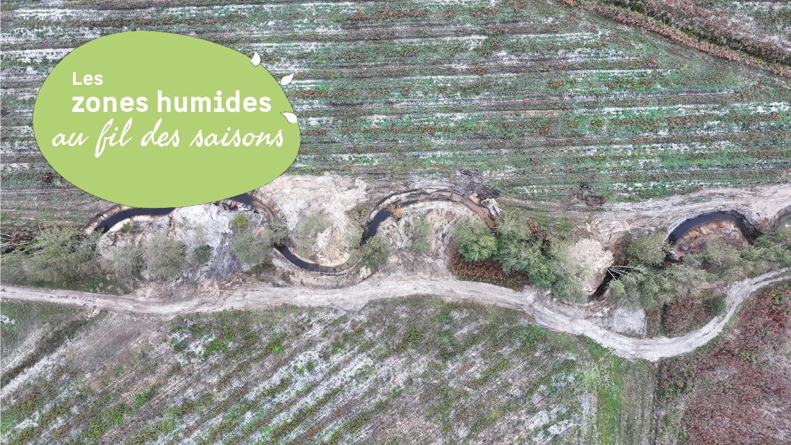 Découverte du fonctionnement des cours d’eau et crastes et de travaux de méandrage