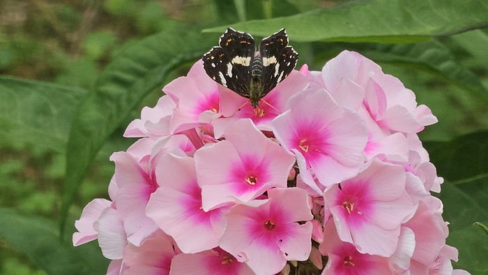 Découverte du Jardin Forêt de la Licorne Saverne Jardin forêt de la licorne Saverne
