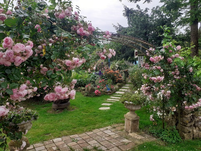 Découverte d'un jardin à l'ambiance bucolique et tout en couleurs Un jardin autour d'un bassin Mazerolles