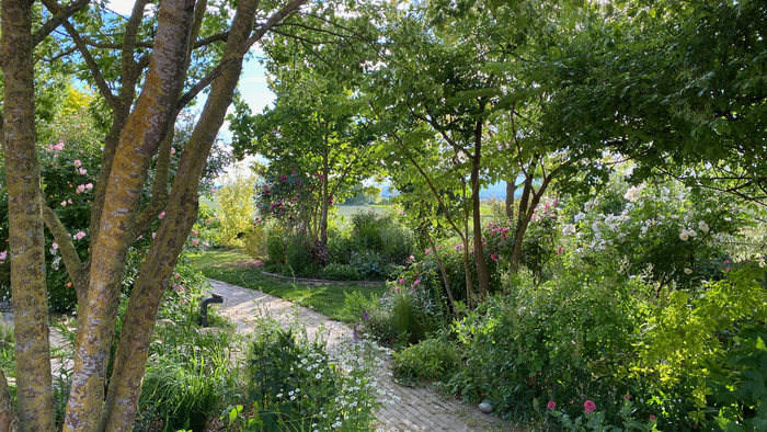 Découverte libre du jardin de Sylvie et Roland Le Jardin de Sylvie et Roland Ittenheim