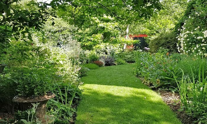 Découverte libre d'un jardin de passionnés d'horticulture Clos du lieu dit à la chapelle Dombasle-sur-Meurthe