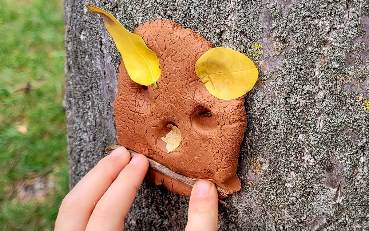 Découverte Nature en famille à Meudon Forêt Domaniale de Meudon