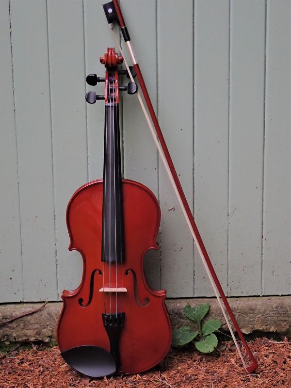 Duo Hylia Musique Irlandaise