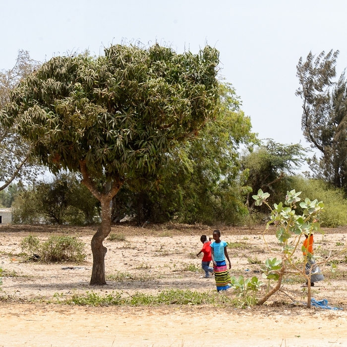 Effondrement de la biodiversité : quelles conséquences pour les sociétés humaines ? Auditorium des Champs Libres Rennes
