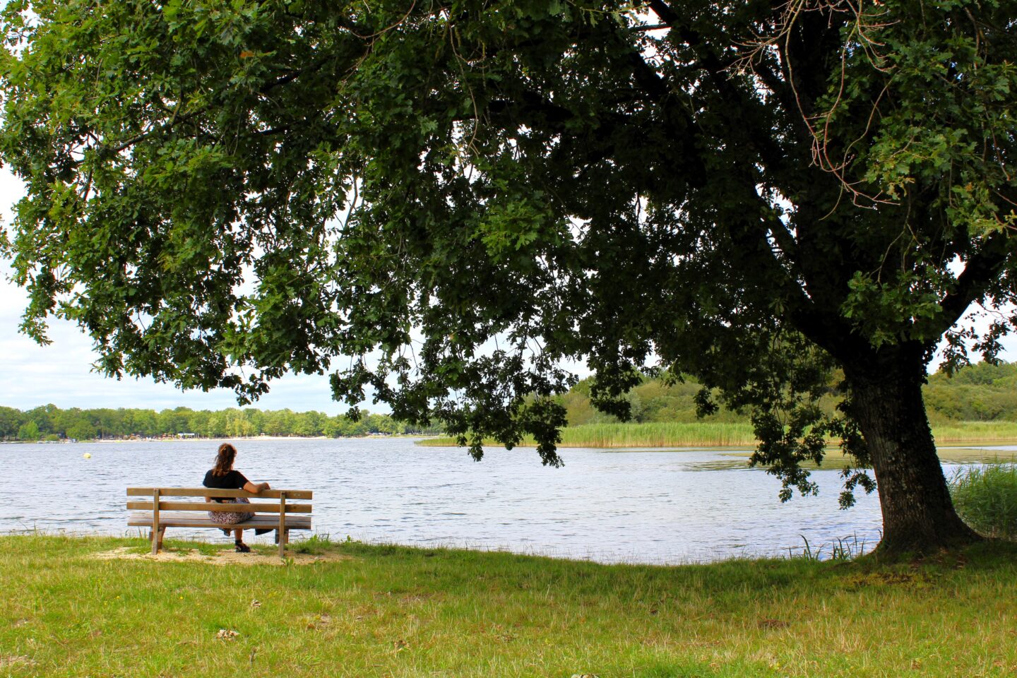 Escapades nature Accueil posté depuis la digue Etang du Puits Argent-sur-Sauldre 2026-04-06 Escapades nature Accueil posté depuis la digue