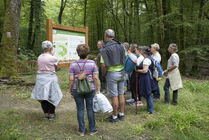Escapades : Randonnée des Gouffres de Trois-Fontaines-l'Abbaye Abbaye de Trois-Fontaines Trois-Fontaines-l'Abbaye